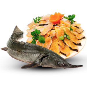 Cá Tầm: Súp sụn, trộn, nướng, canh chua (lẩu) 1kg
