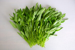 Rau muống